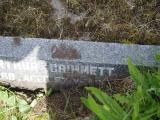 image of grave number 853256